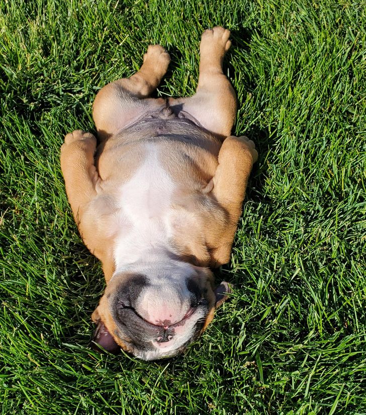 7404755c4c814e510c2fffc746