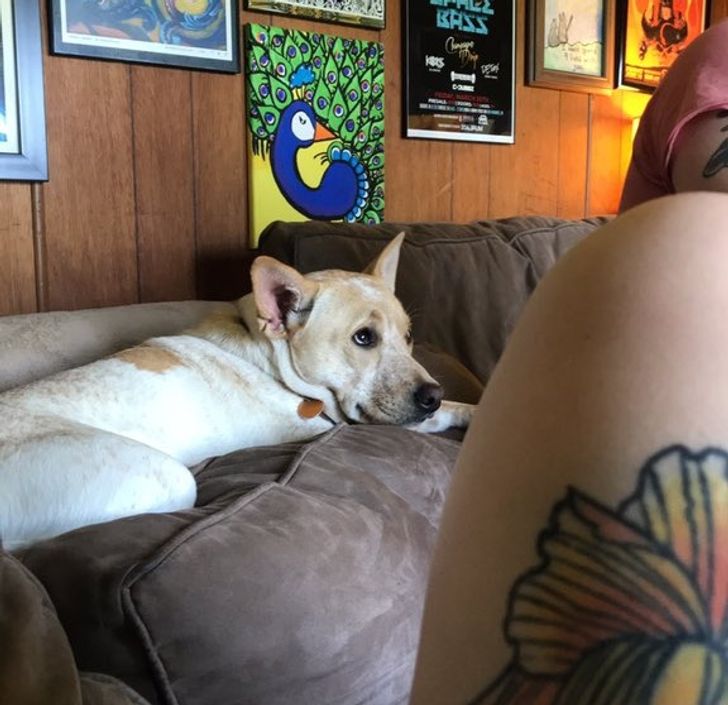 74121f5ddebfb2fa6dbcb7cede