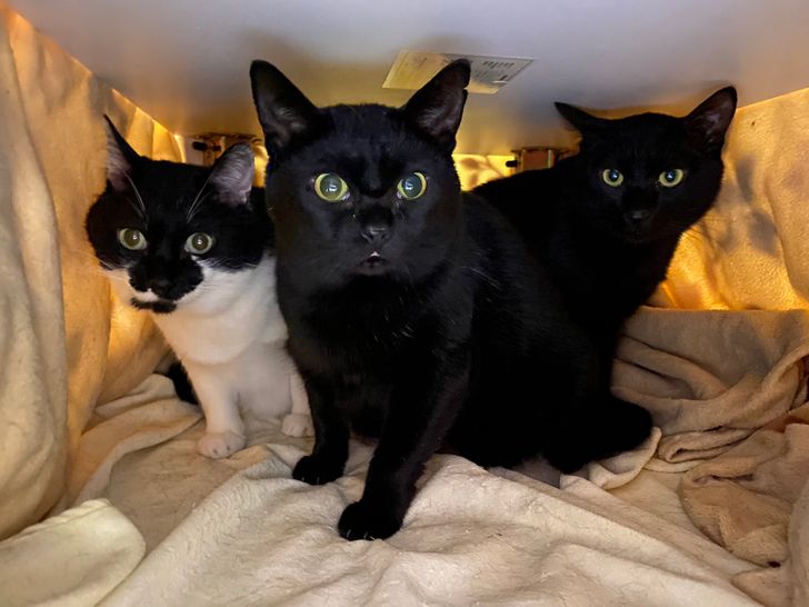 7418a85bc0ae57e52bd26d48db