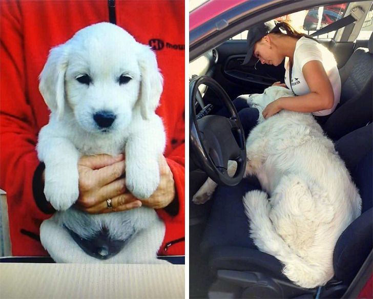 742264575cb91aa6ca3814e8a4