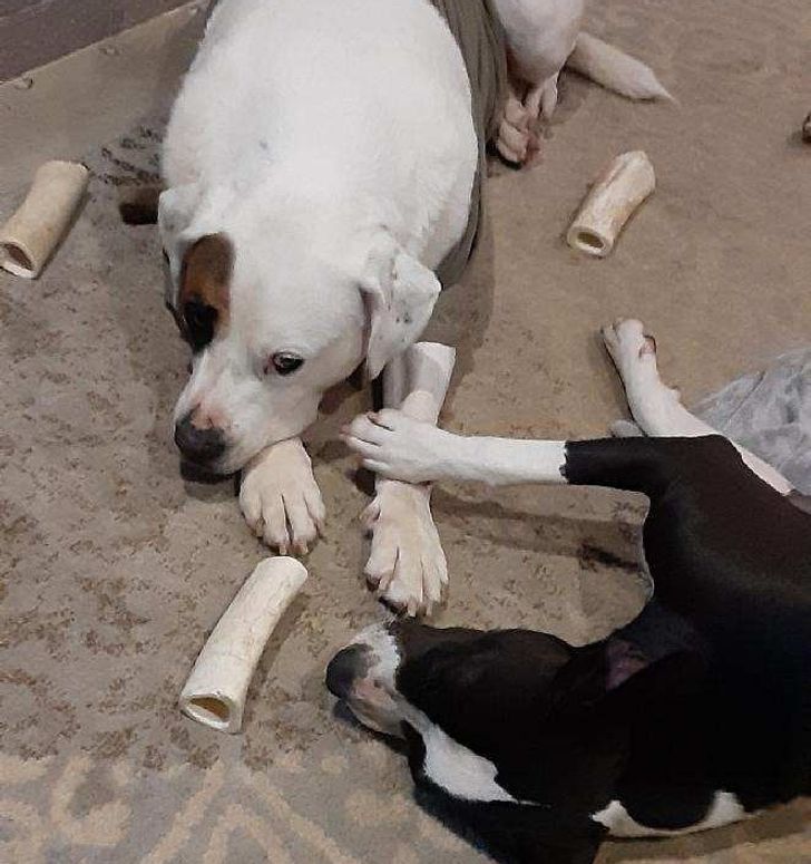 74276555d5bbeae8f156ec60b6