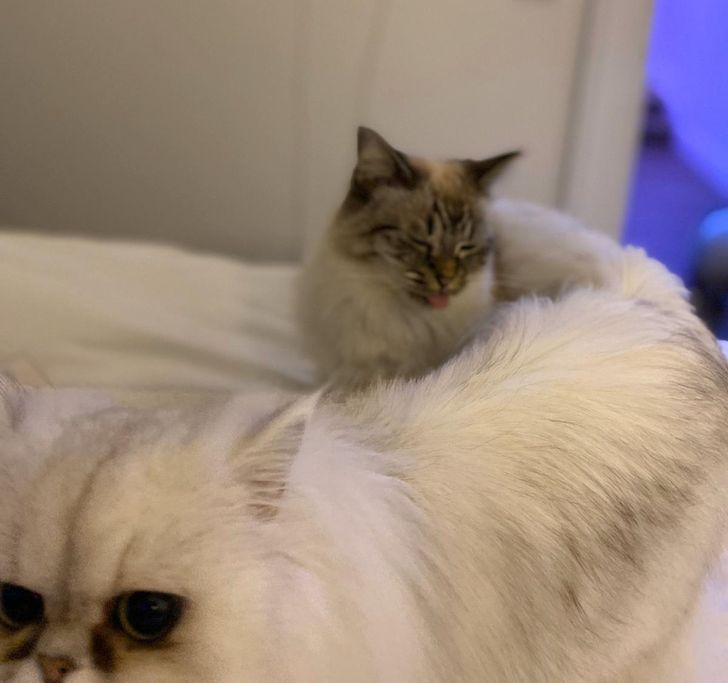 7427aa5fbfb62ba3a9fd058460