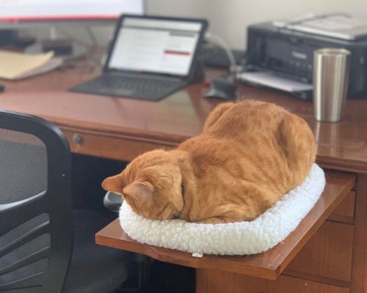 742dcd54bdabec580b7f25907e-1