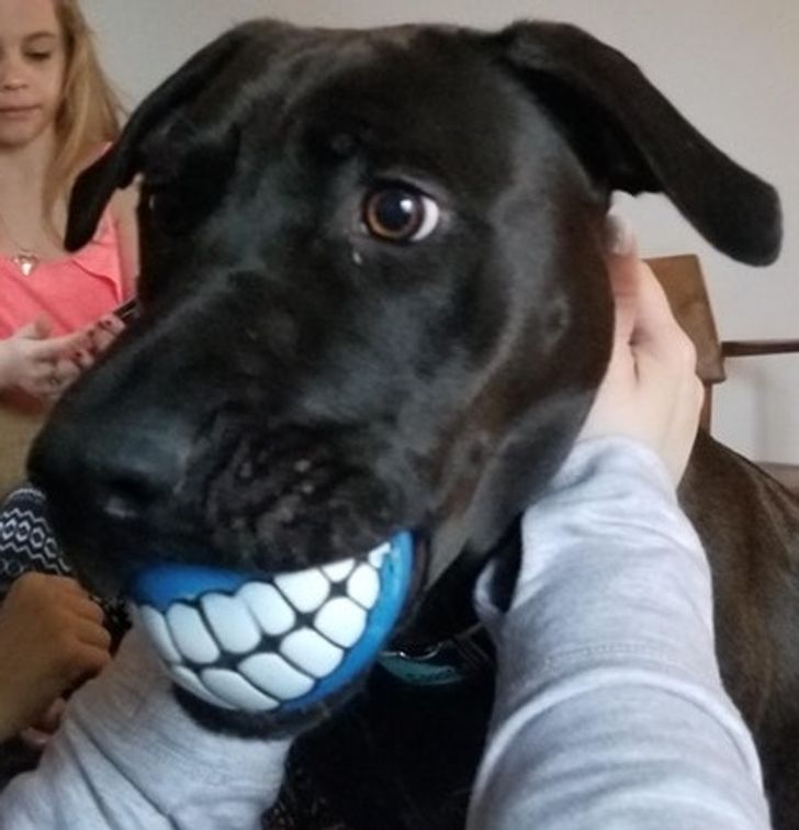 742f52557492cd48a57aa06d28