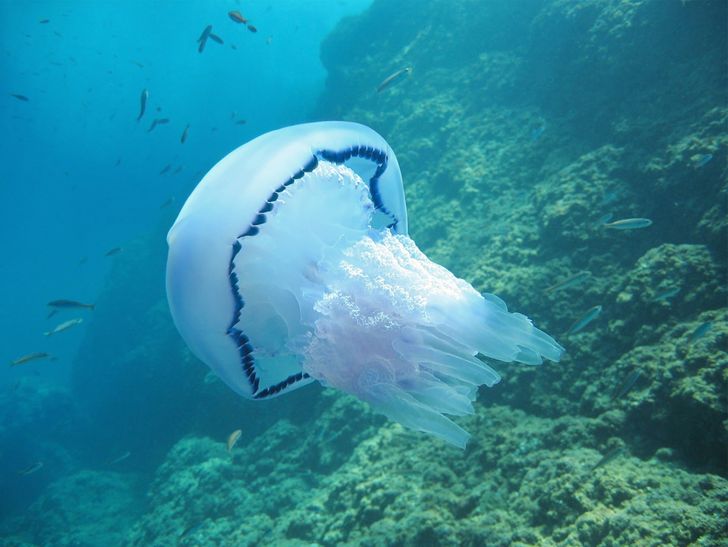 74307456d2845a1ccf902e1ac4