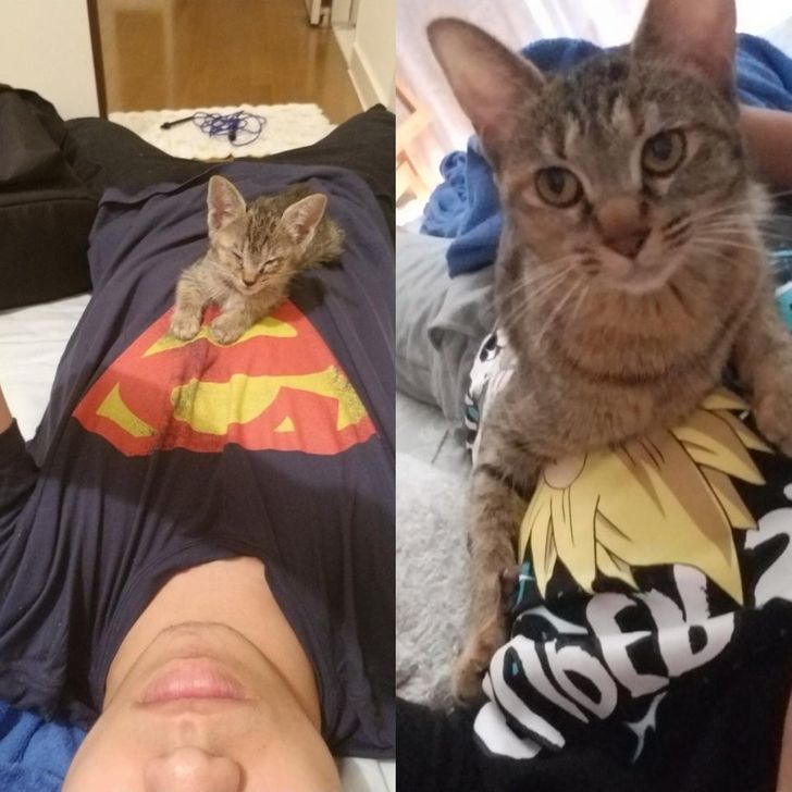 74322f5d99a12573e7ebb7b719