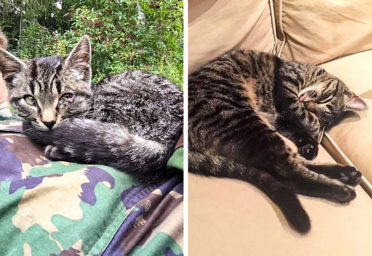 7433565b52b261ff3a3f5d41d9