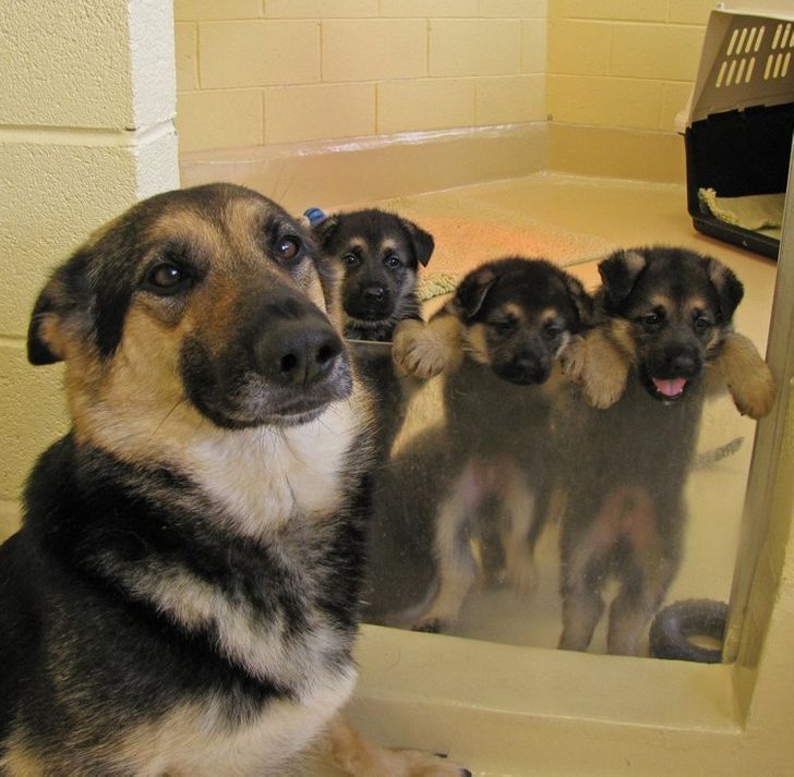 7433c555c1a7c4fe86420a6e11