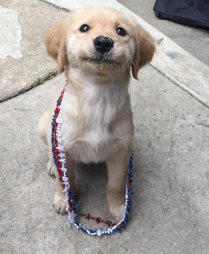 7434635c3db746b9c4ddcadd10