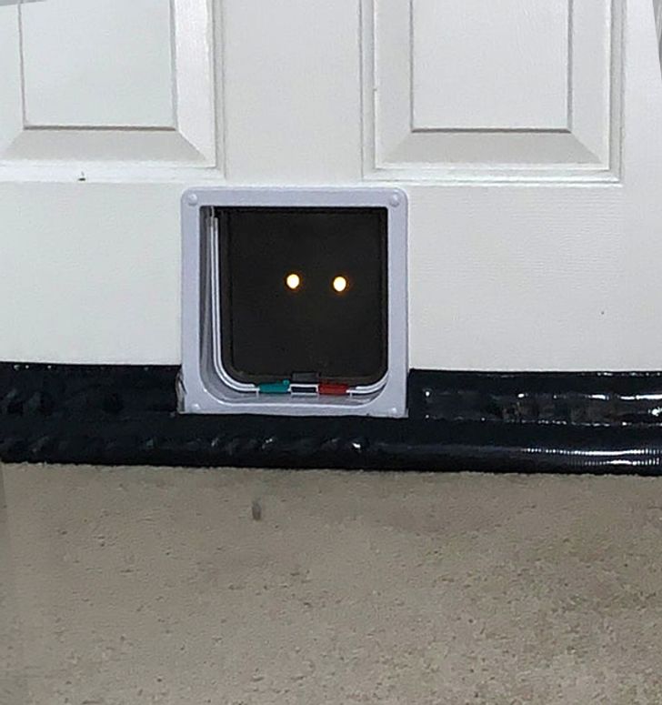 74379e53cfb03108763995ca1b