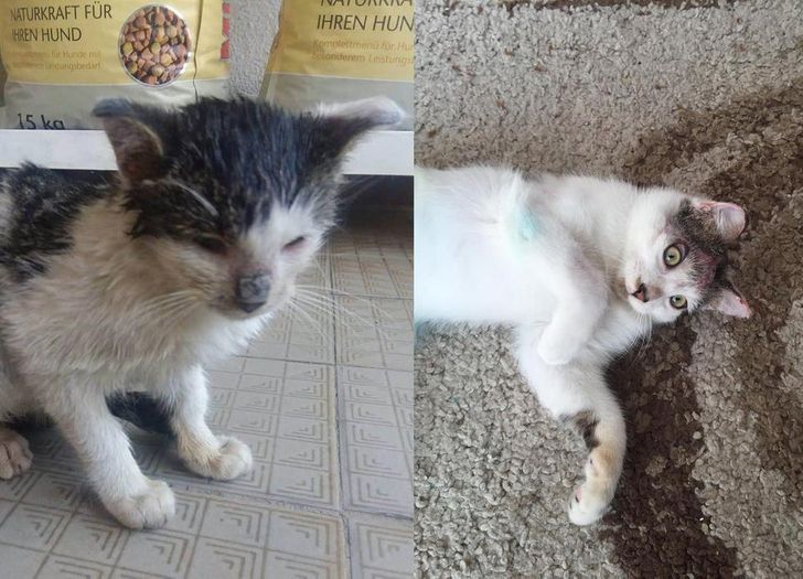 743d97515f937622118b8f23e9