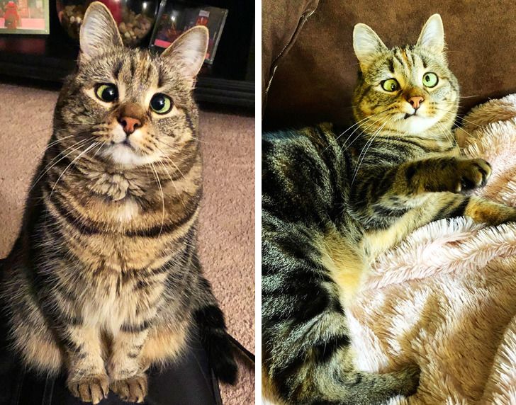 743dca5d609aca8080e7d57649