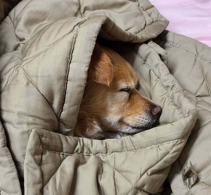 74405c5377a4aa2c59af4ad0a2