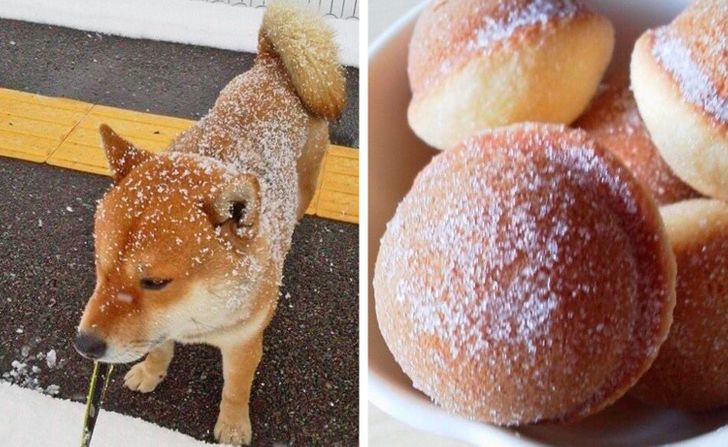 744234586b9c968c19f6183342