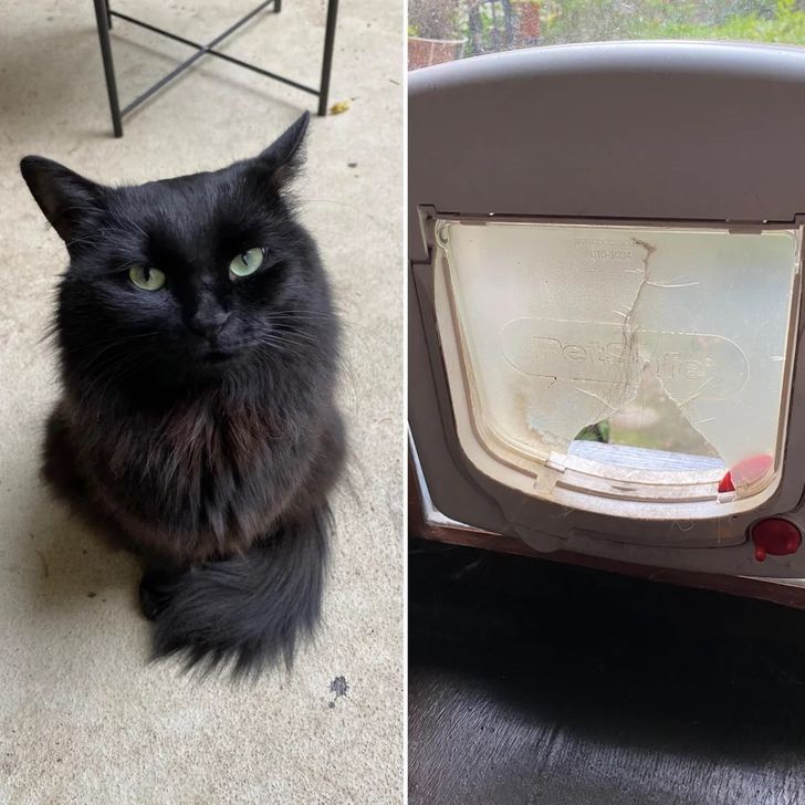 7446295a80b844eb80fcf74a85