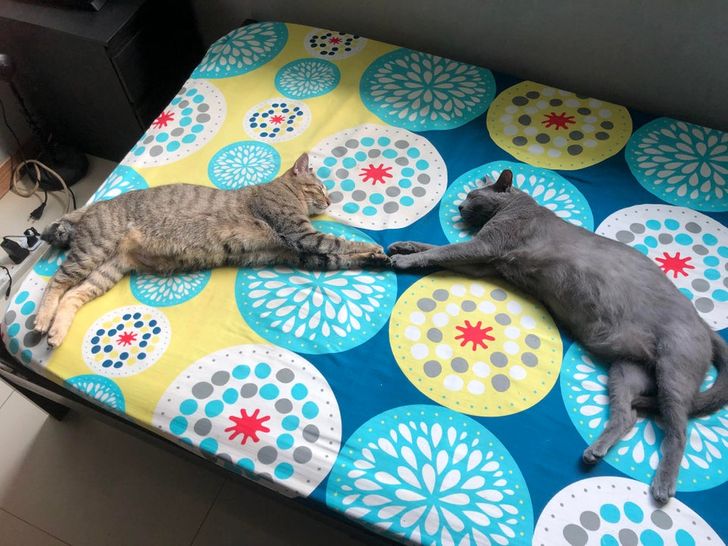 7446ee58848232164f9dcd122b