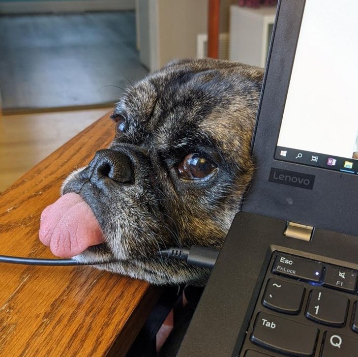 744acb5fef8d8ffde7146c450e