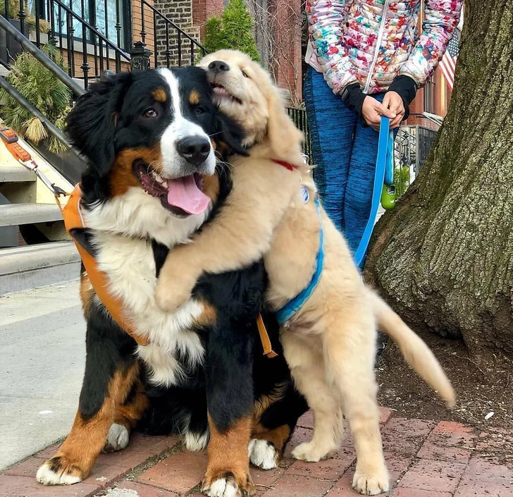 7450155877b2b2c8005cc30674