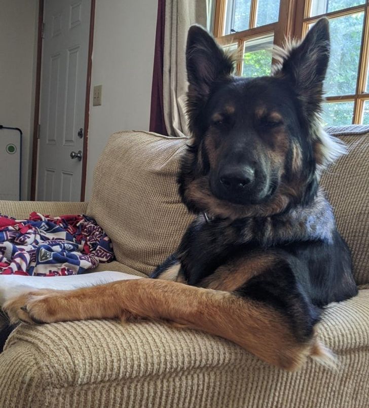 74505c54fc91a8c8eecea24753