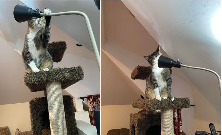 7451a55889989150ad45822fcd