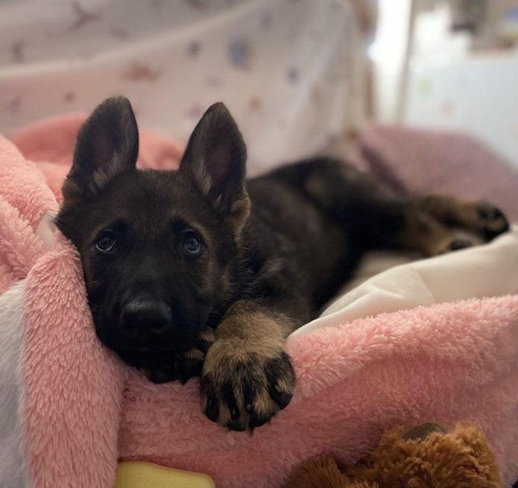 74574a5c1b9ae6ef74c500aefa