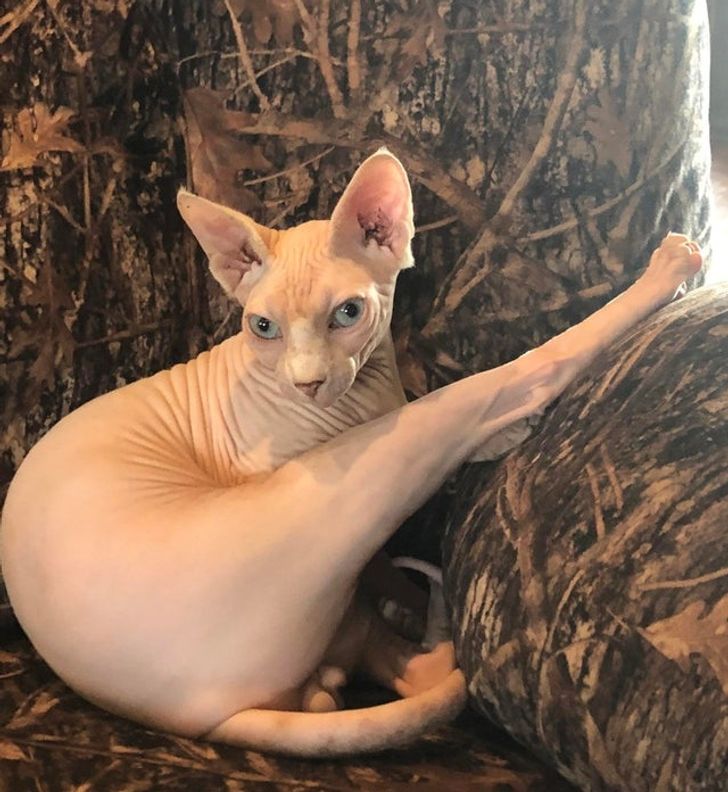 745afe50b28e0f3e6748fb1e60