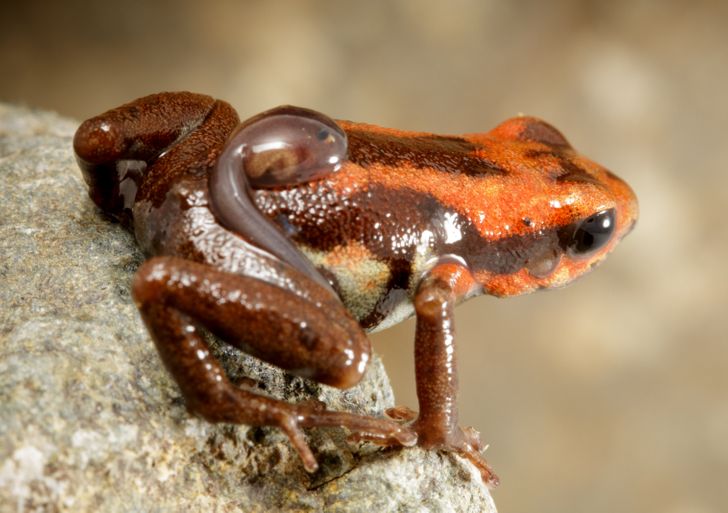 745b385e5f9d045c2000f05f25