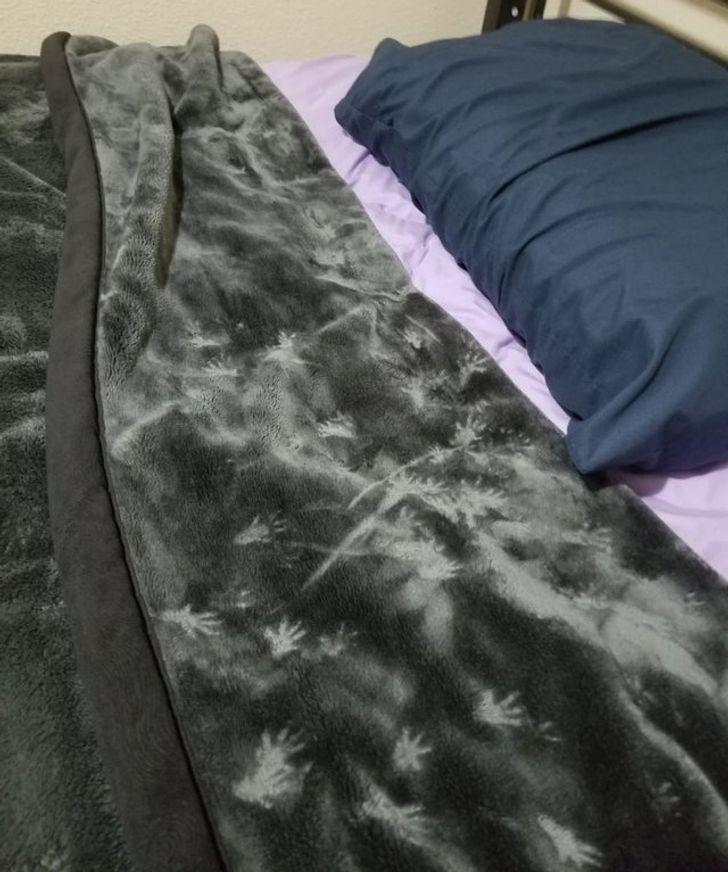 745ec05415a5d44a069dfa01ad