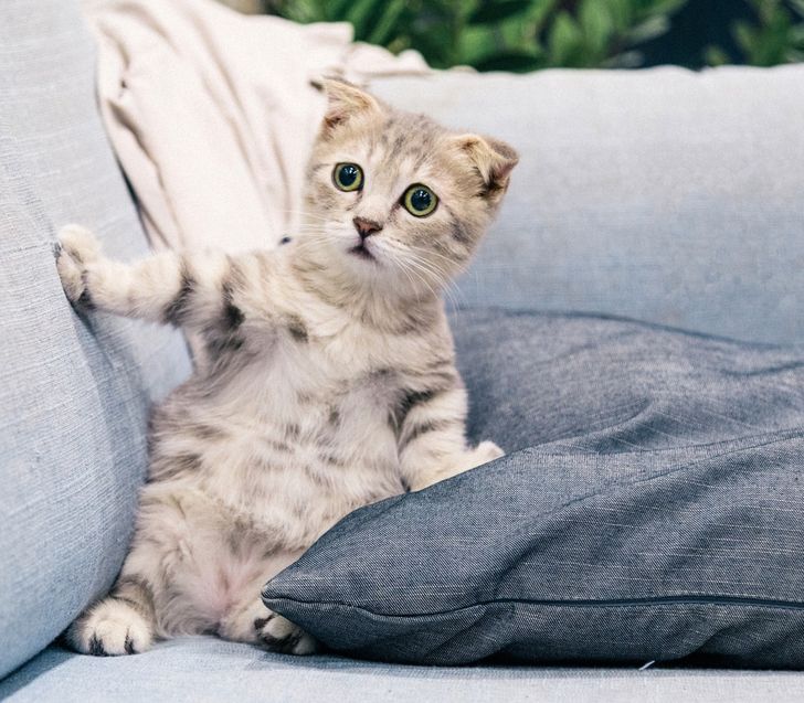 746aa758eabf885bb2c58d0073