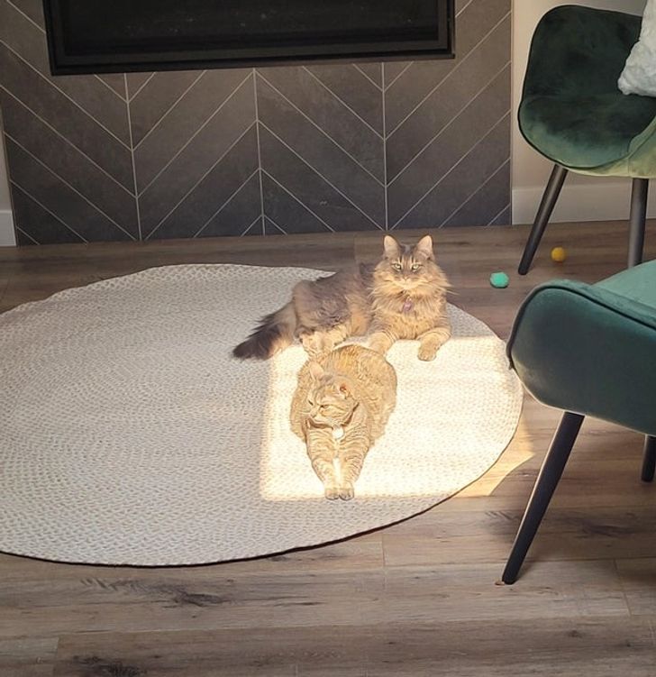 746ae256c3b291767b5b16765e