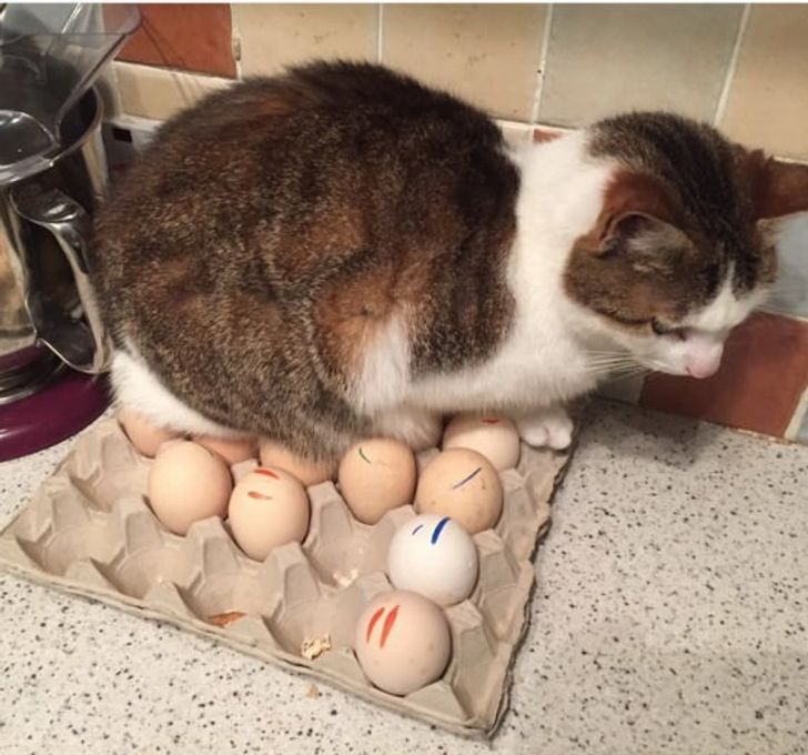 7473a45f169c930dd4a07d1a7e