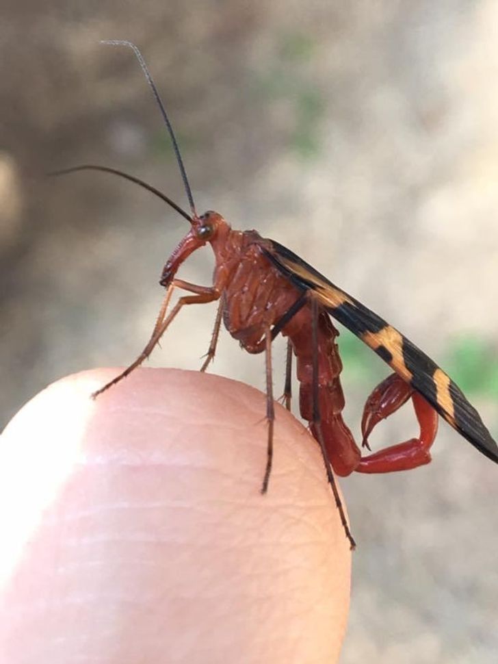 7478e558aa97eacabe3434d20b