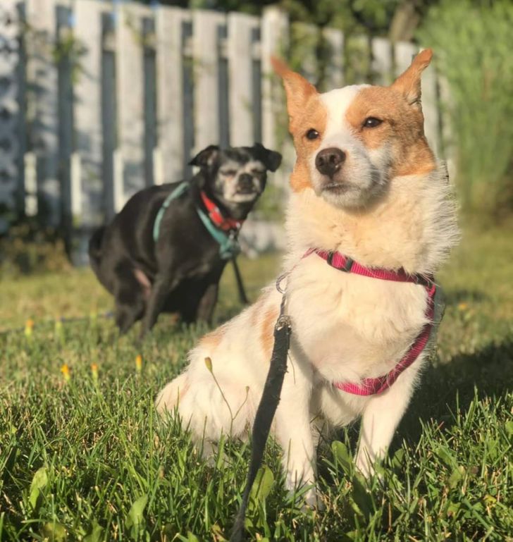 747a4553409817b4dd9ad4f5d5 747a4553409817b4dd9ad4f5d5