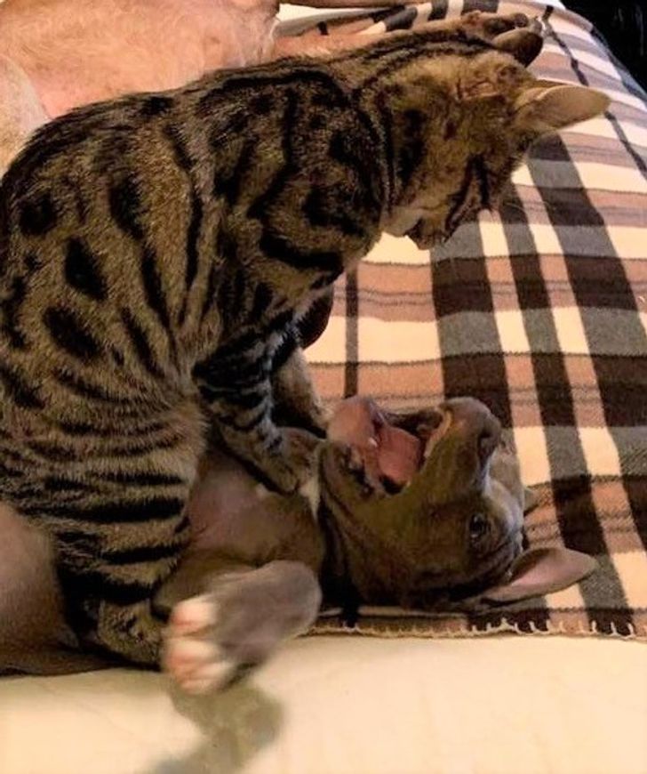 747bef5ec28e11f400a9b8b7e8