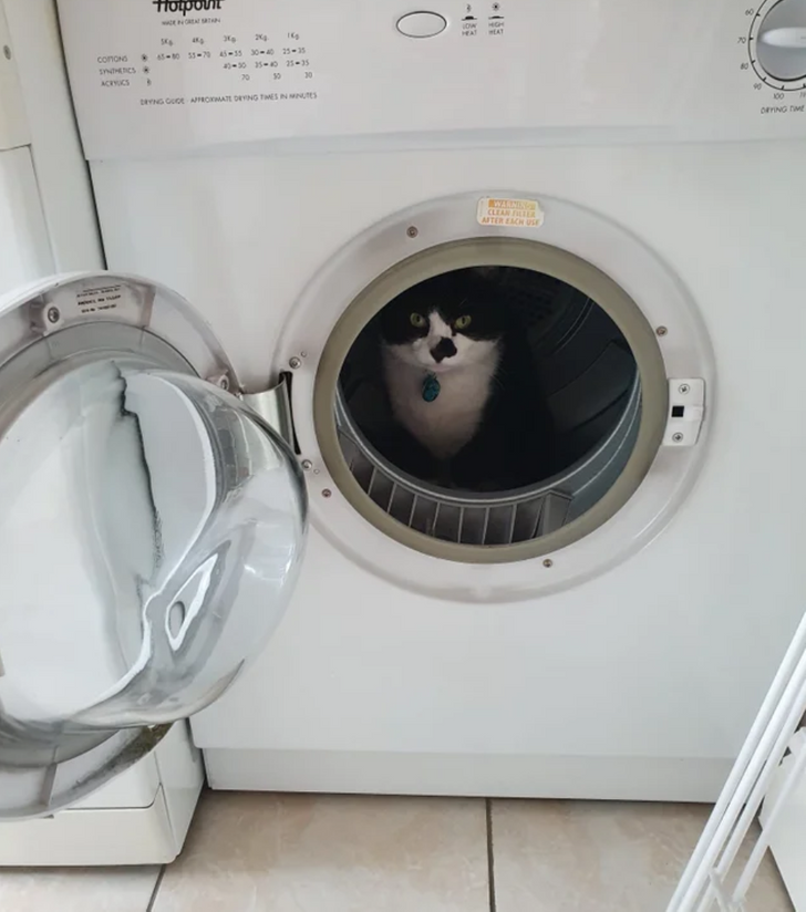 747c8e5cbdb3ef098ee8812600