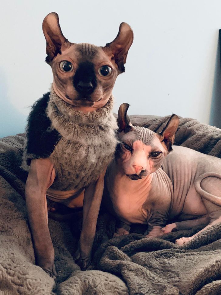 7481b35573b18ead205073291a