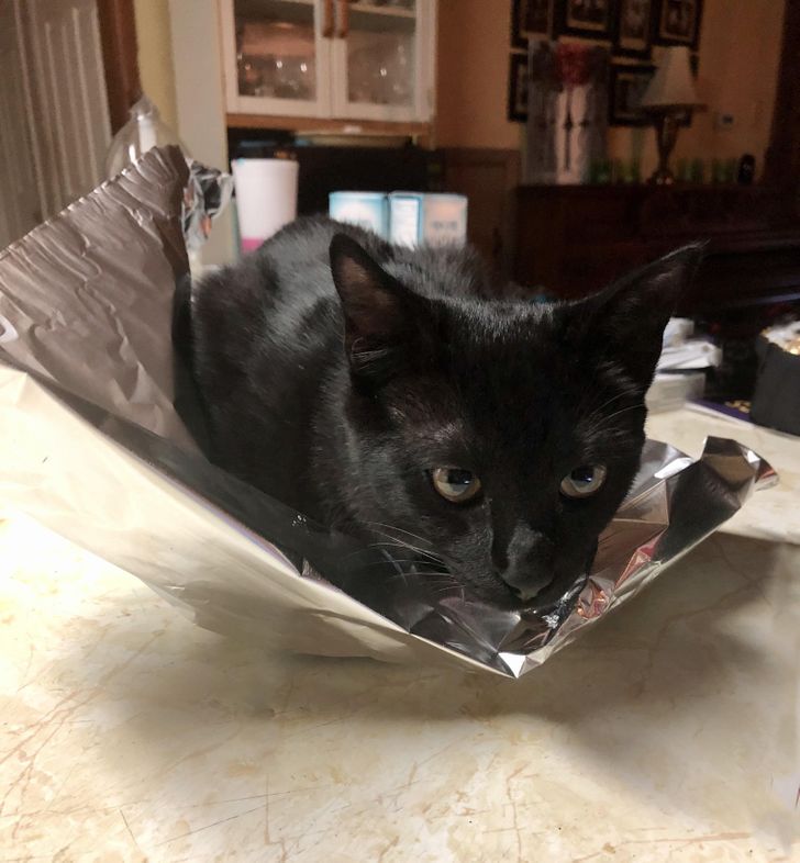 74861b5f6eb1aa5f232ce45317