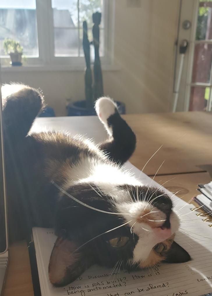 7488155a08af8e49b69e9126de