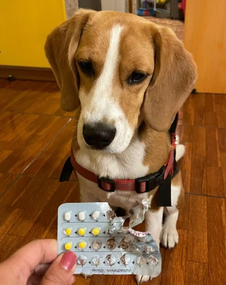 748a135466a80066e38fb2ec9b