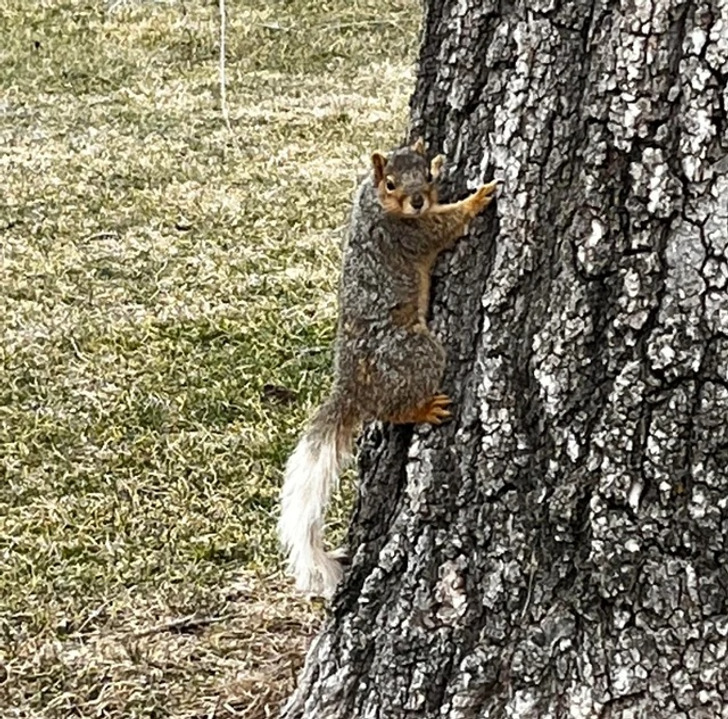 748be852cb9f12811ec6ac6427