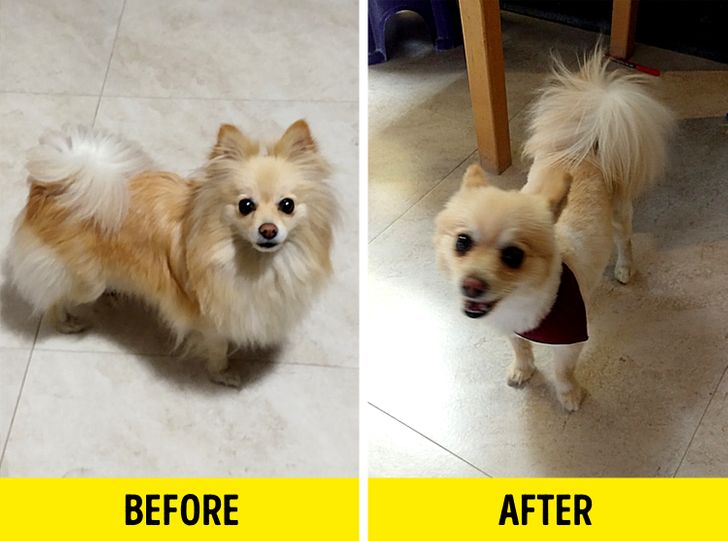 749b7351d68dce8b820852cad0