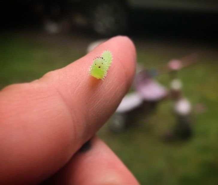 74a3ec5ea997b43d627d184674