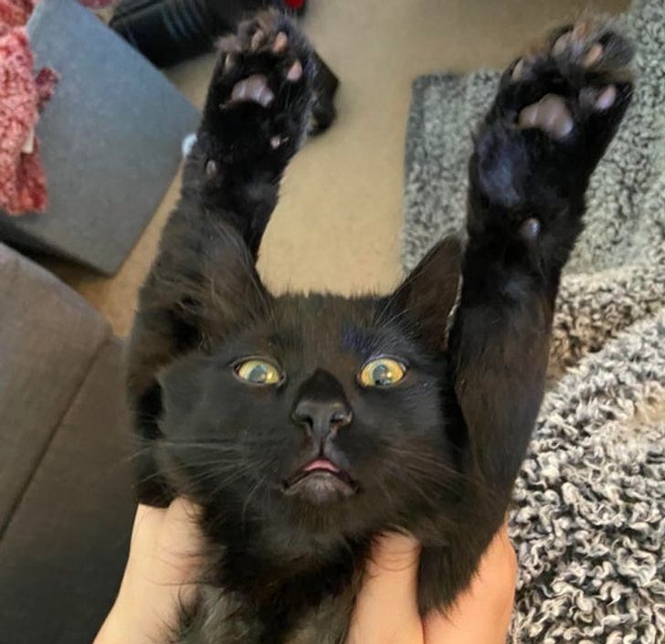 74a73e55bcb0547c4ee109969b