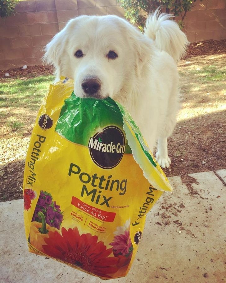 74a79659ce823715f92fea9663