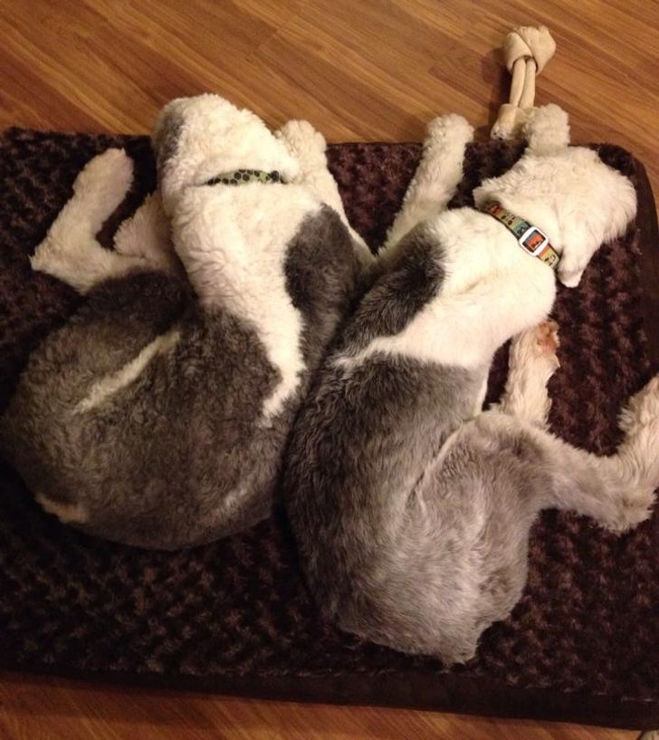 74ae86566997171533d08ee101