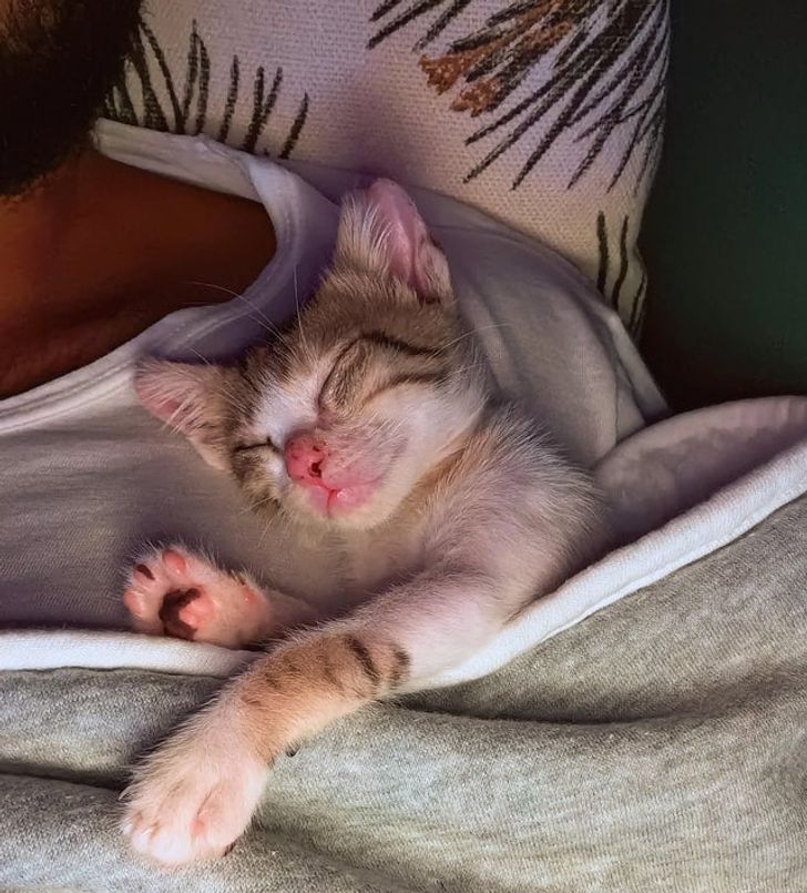 74afb25b669e9e009a23f8236a