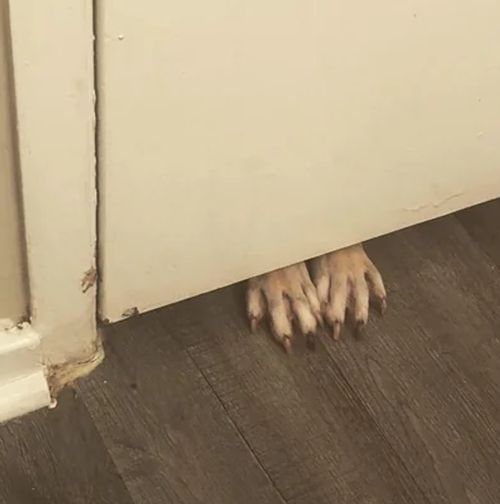 74b51e538a96a9219590328b40 74b51e538a96a9219590328b40