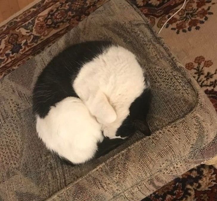 74b8f45935b8683dc73ac64cc7