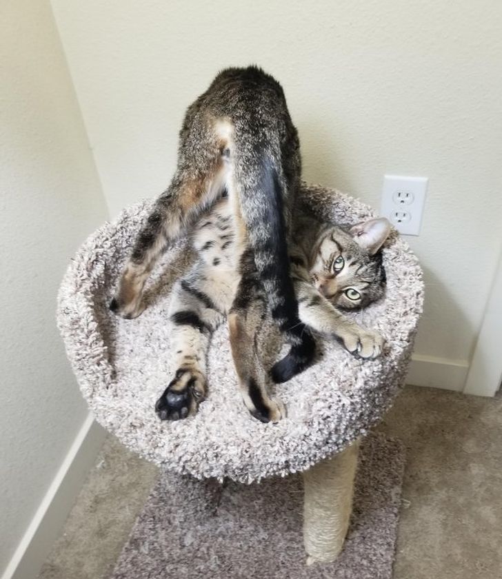 74ce9d54c3bf013cbce87efff3