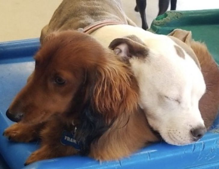 74d1ee57a18ac2e46423fea96c